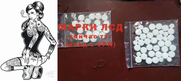 индика Горняк