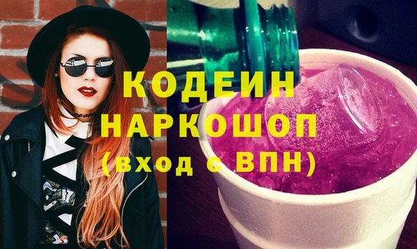 индика Горняк