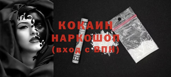 индика Горняк
