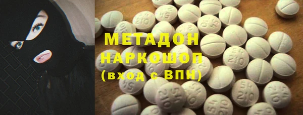 индика Горняк