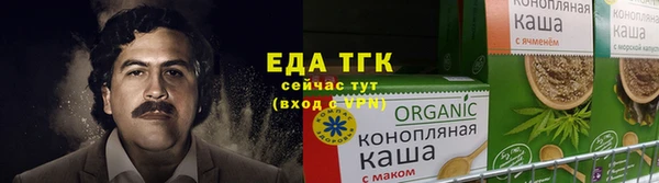 индика Горняк