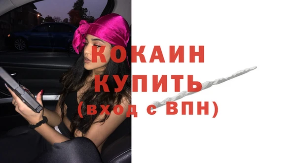 индика Горняк