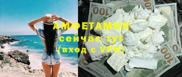 индика Горняк