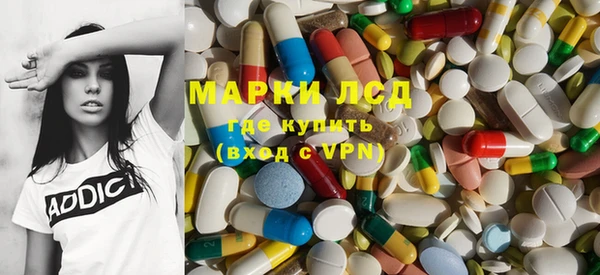 индика Горняк
