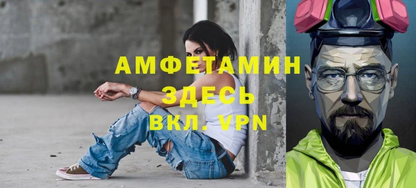индика Горняк