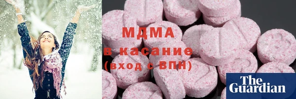 индика Горняк