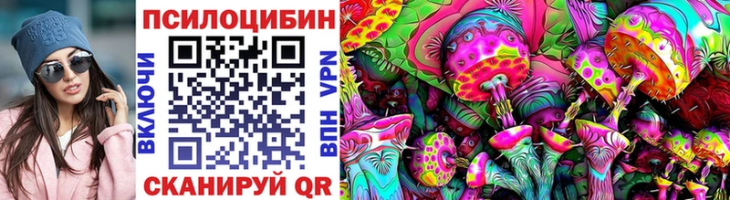 наркота  Далматово  Псилоцибиновые грибы Psilocybe 
